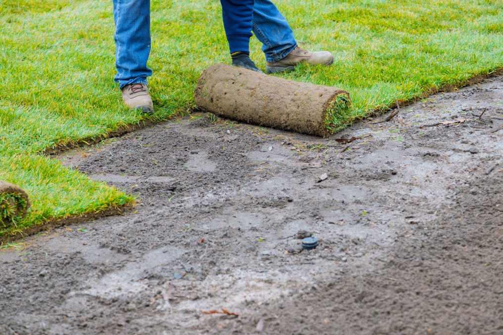 Extérieur Comment poser du gazon en rouleau?
