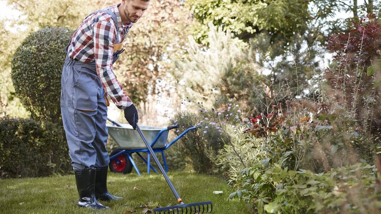 Amenager un jardin le cout et la reglementation